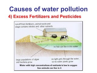 Causes of water pollution 4) Excess Fertilizers and Pesticides 