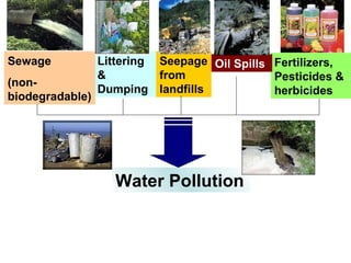 Littering & Dumping  Fertilizers, Pesticides & herbicides Seepage from landfills Oil Spills  Sewage  (non-biodegradable)  Water Pollution 