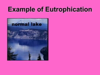 Example of Eutrophication 