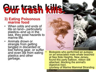 Our trash kills. 3) Eating Poisonous marine food When odds and ends of life on land-- particularly plastics--end up in the sea, they pose hazards to marine life.  Animals drown or strangle from getting tangled in discarded or lost fishing gear, or suffer and even die from eating plastics and other garbage.  Our trash kills. A northern sea lion, entangled in an old net Biologists who performed an autopsy on an emaciated male whale beached at Sea Side Heights, New Jersey, found this party balloon, ribbon still attached, blocking the animal's digestive tract.  courtesy of Marine Mammal Stranding Center 