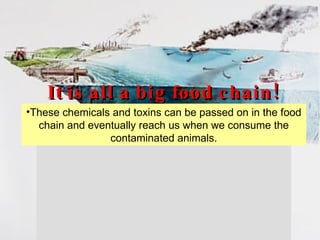 It is all a big food chain! These chemicals and toxins can be passed on in the food chain and eventually reach us when we consume the contaminated animals. 