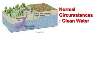 Contamination of water by sewage bacteria Normal Circumstances: Clean Water 