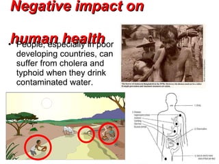 Negative impact on  human health People, especially in poor developing countries, can suffer from cholera and typhoid when they drink contaminated water. 