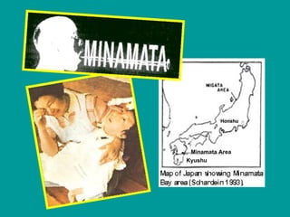 Minamata Area Kyushu Honshu 
