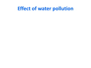 Effect of water pollution

 