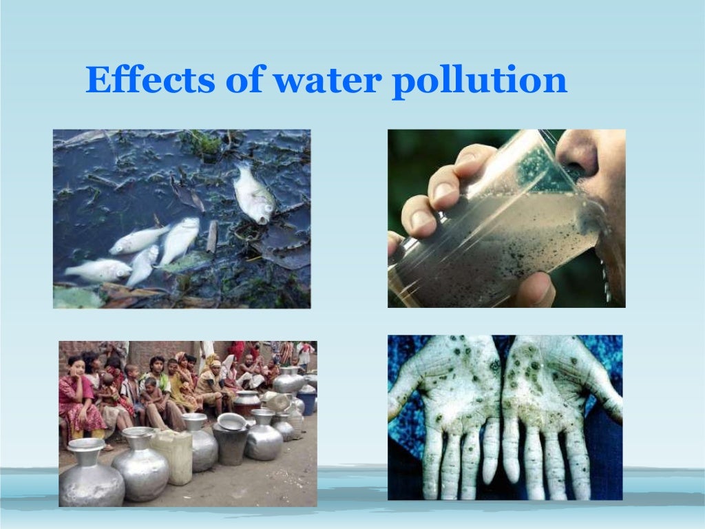 The Effects Of Polluted Water In Developing