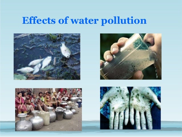 1. The hazards of water pollution - Dongting's e-portfolio