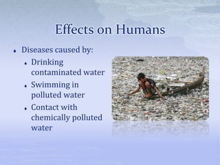 Effects on Humans
 Diseases caused by:
 Drinking
contaminated water
 Swimming in
polluted water
 Contact with
chemically polluted
water
 