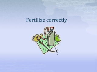Fertilize correctly
 