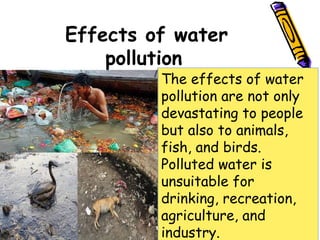 The effects of water
pollution are not only
devastating to people
but also to animals,
fish, and birds.
Polluted water is
unsuitable for
drinking, recreation,
agriculture, and
industry.
Effects of water
pollution
 