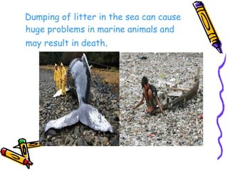 Dumping of litter in the sea can cause
huge problems in marine animals and
may result in death.
 