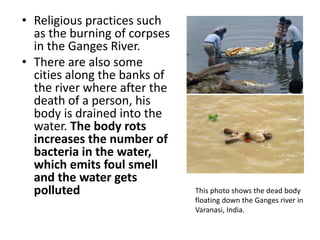 • Religious practices such
as the burning of corpses
in the Ganges River.
• There are also some
cities along the banks of
the river where after the
death of a person, his
body is drained into the
water. The body rots
increases the number of
bacteria in the water,
which emits foul smell
and the water gets
polluted This photo shows the dead body
floating down the Ganges river in
Varanasi, India.
 