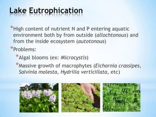Lake Eutrophication
*High content of nutrient N and P entering aquatic
environment both by from outside (allochtonous) and
from the inside ecosystem (autotonous)
*Problems:
*Algal blooms (ex: Microcystis)
*Massive growth of macrophytes (Eichornia crassipes,
Salvinia molesta, Hydrilla verticillata, etc)
 