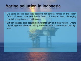 Marine pollution in Indonesia
*Oil spills on the seas has occured for several times in the North
Coast of West Java and South Coast of Central Java, damaging
coastal ecosystems on both areas.
*Similar tragedy also occured on Jakarta Bay and Riau waters, where
oily sludge was observed along the coast which came from the high
seas
 