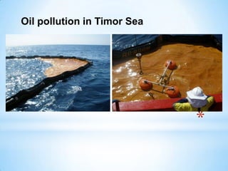 *
Oil pollution in Timor Sea
 