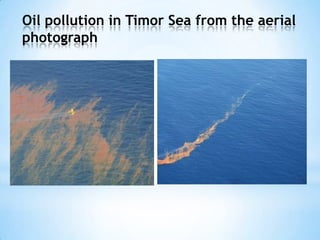 Oil pollution in Timor Sea from the aerial
photograph
 