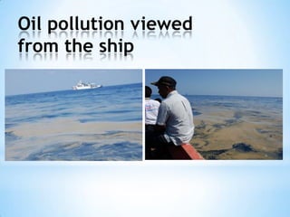 Oil pollution viewed
from the ship
 