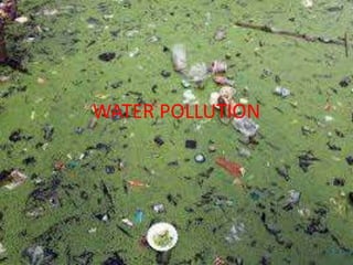 WATER POLLUTION