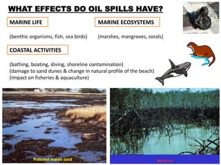 WHAT EFFECTS DO OIL SPILLS HAVE?
MARINE LIFE MARINE ECOSYSTEMS
(benthic organisms, fish, sea birds) (marshes, mangroves, corals)
COASTAL ACTIVITIES
(bathing, boating, diving, shoreline contamination)
(damage to sand dunes & change in natural profile of the beach)
(Impact on fisheries & aquaculture)
 