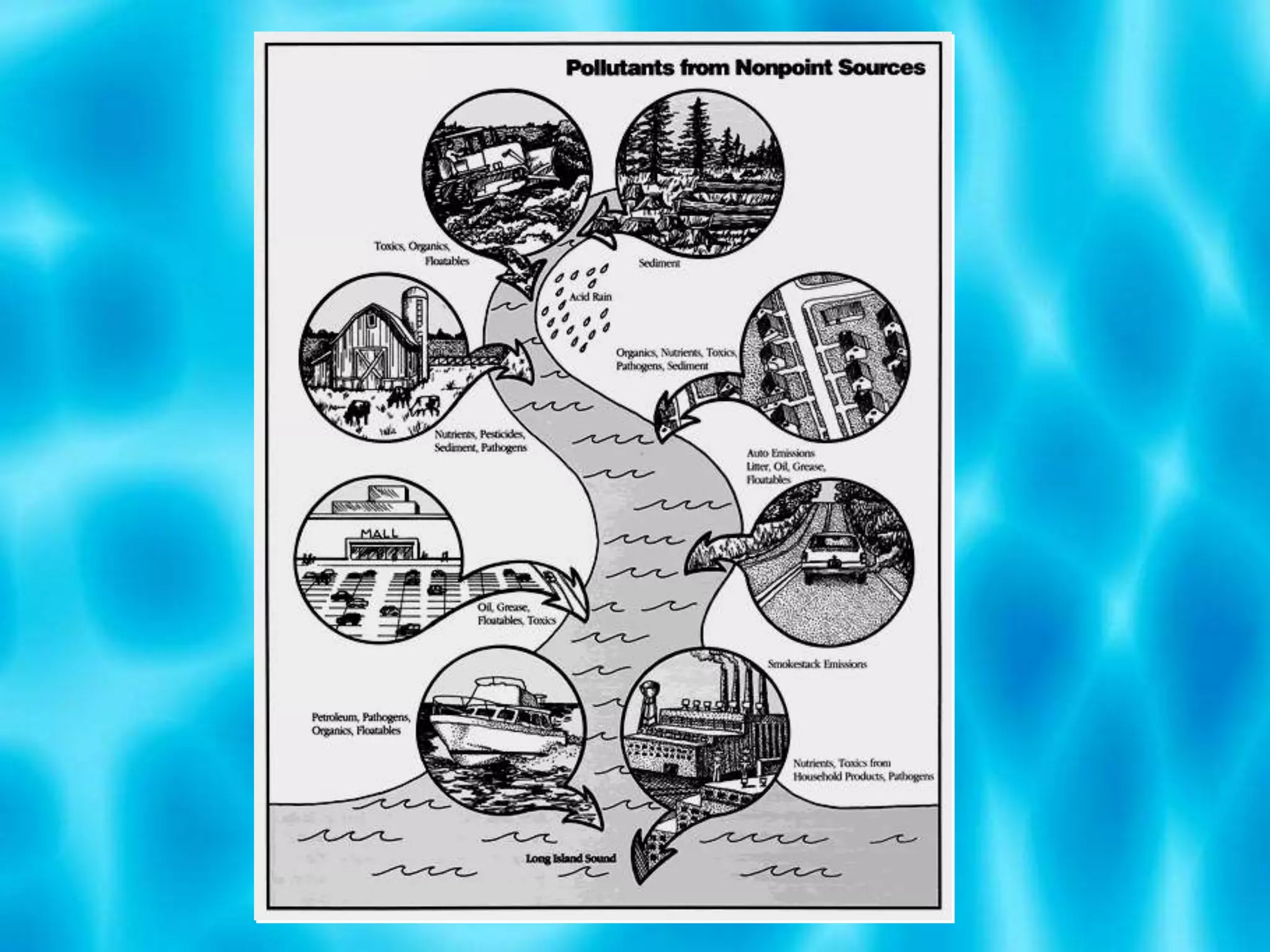 Gas, oil, chemicals, detergents containing phosphorus, trash and other pollutants collected off driveways, roads and city streets flow directly down drains and storm sewers to a nearby body of water untreated