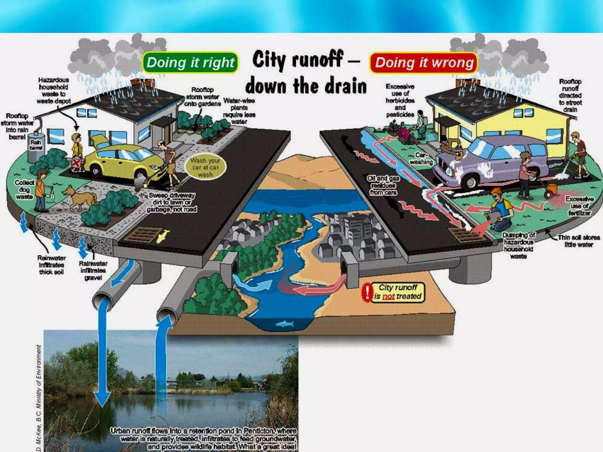 Pesticides (bug killer) and herbicides (weed killer) can wash into nearby lakes and rivers