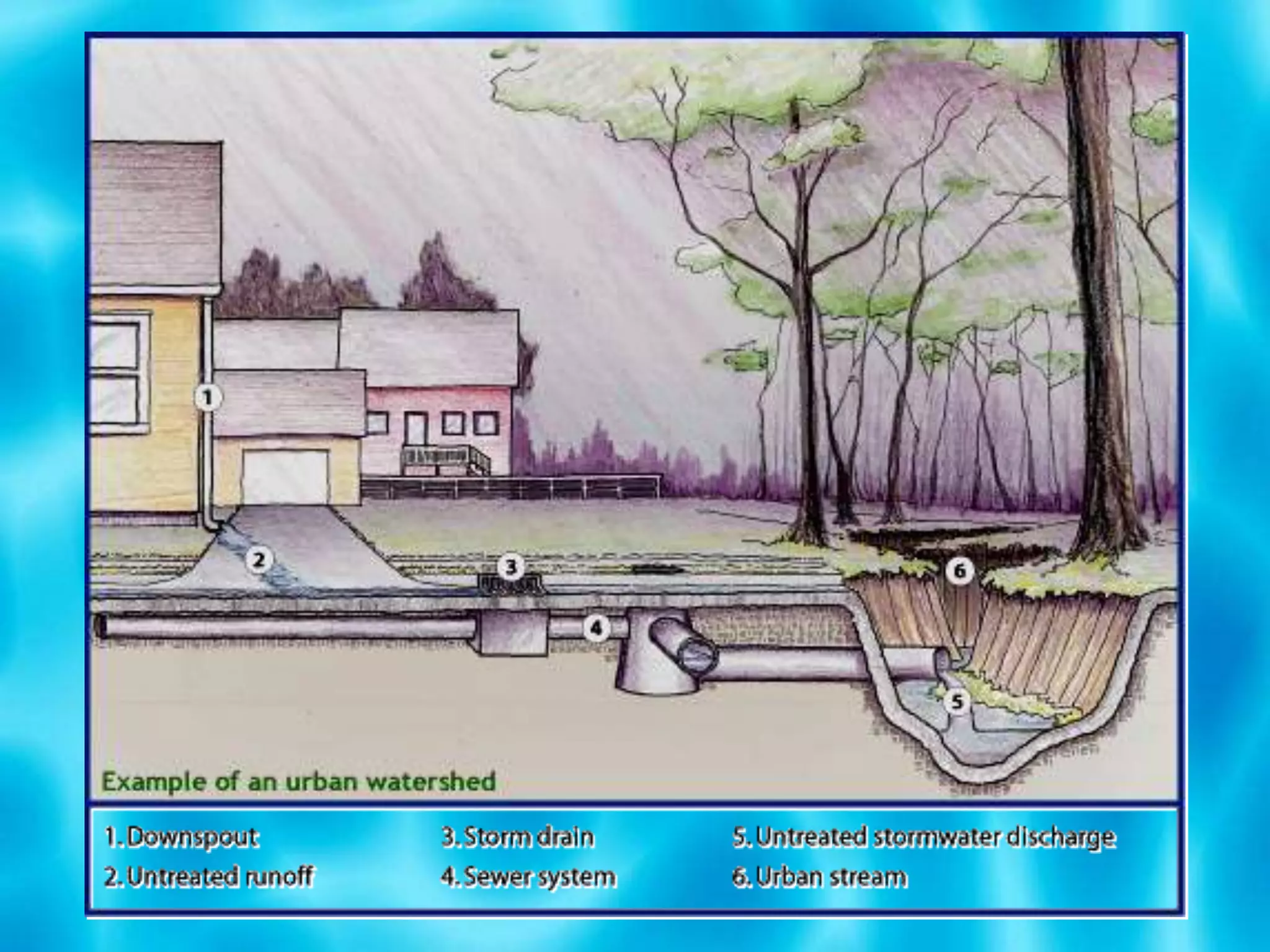 Heavy metals (arsenic, lead, mercury, etc.)
