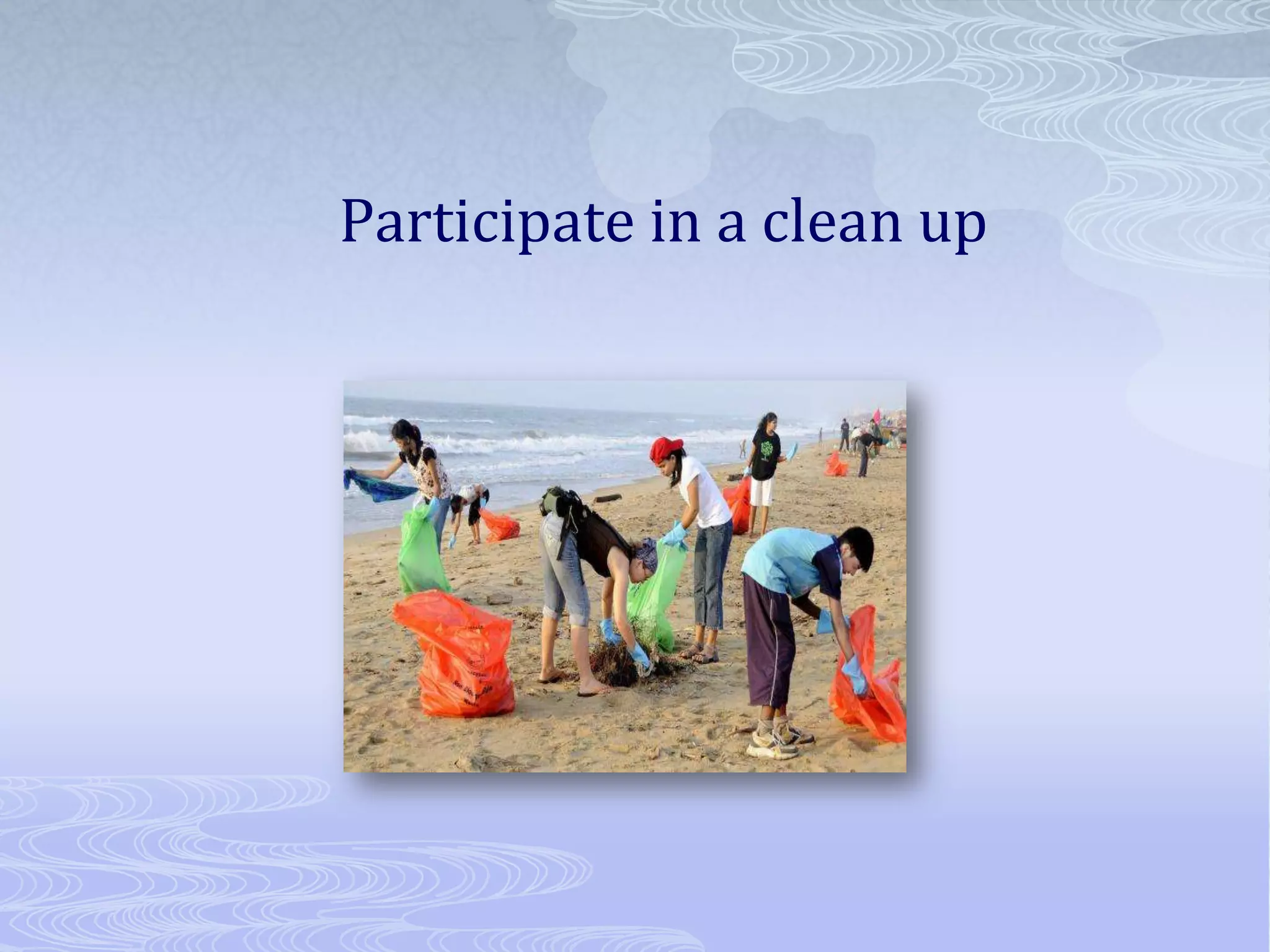 Participate in a clean up