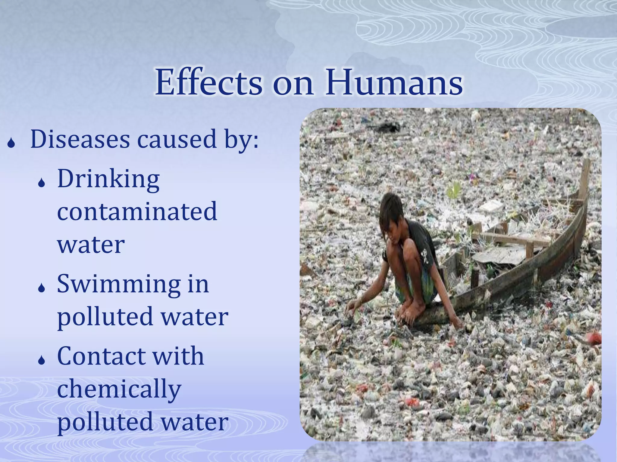 Effects on Humans
Diseases caused by:
Drinking
contaminated
water
Swimming in
polluted water
Contact with
chemically
polluted water