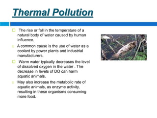 Water Pollution | PPTX