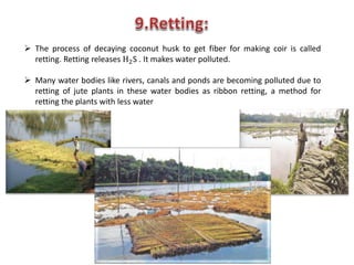  The process of decaying coconut husk to get fiber for making coir is called
retting. Retting releases H2S . It makes water polluted.
 Many water bodies like rivers, canals and ponds are becoming polluted due to
retting of jute plants in these water bodies as ribbon retting, a method for
retting the plants with less water
 