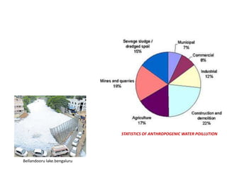 Bellandooru lake.bengaluru
STATISTICS OF ANTHROPOGENIC WATER POILLUTION
 