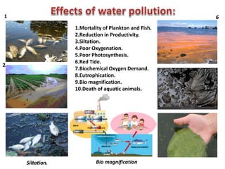 1.Mortality of Plankton and Fish.
2.Reduction in Productivity.
3.Siltation.
4.Poor Oxygenation.
5.Poor Photosynthesis.
6.Red Tide.
7.Biochemical Oxygen Demand.
8.Eutrophication.
9.Bio magnification.
10.Death of aquatic animals.
Bio magnificationSiltation.
1
2
6
 