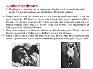 1. Minamata disease:
 This disease is caused by mercury poisoning. It is characterized by crippling and
death. This disease appeared in a coastal town, Minamata, in Japan.
 The primary cause for this disease was a plastic industry which was started on the sea
coast of Japan in 1905. From this factory a by-product called mercury was disposed into
the sea. This mercury accumulated in marine animals. Later birds, cats, dogs and men
receive mercury when they eat marine fishes and animals. The accumulation of
mercury leads to crippling and death.
 Their initial symptoms of Minamata disease includes the numbness of limbs, hips and
tongue, impairment of motor control deafness and blurring of vision.
 Finally it affects and destroys the brain. As a result of the attack of Minamata disease
about 17 persons died and 23 became permanently disabled in the year 1953, in Japan.
 