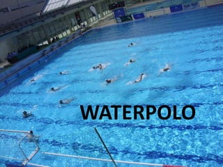 WATERPOLO 