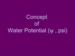 Concept  of  Water Potential (   , psi) 
