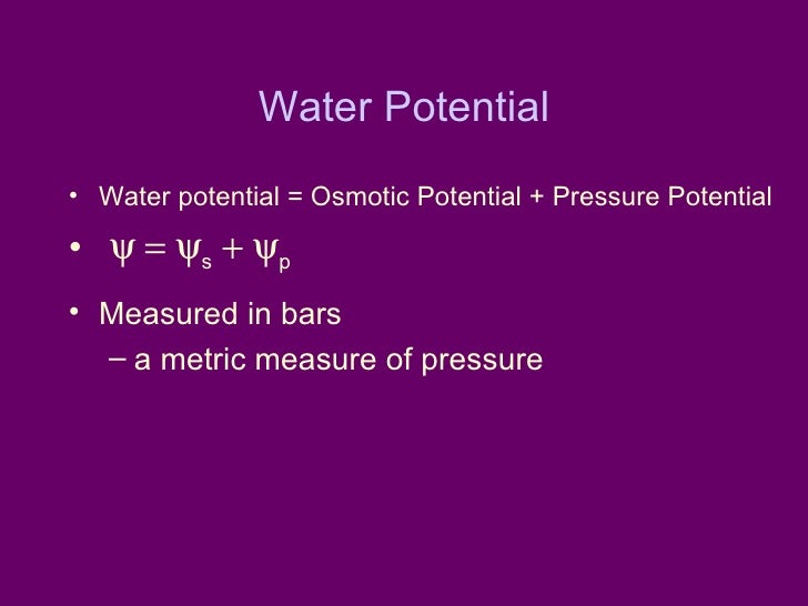 water potential equation