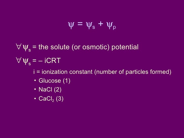 Water Potential