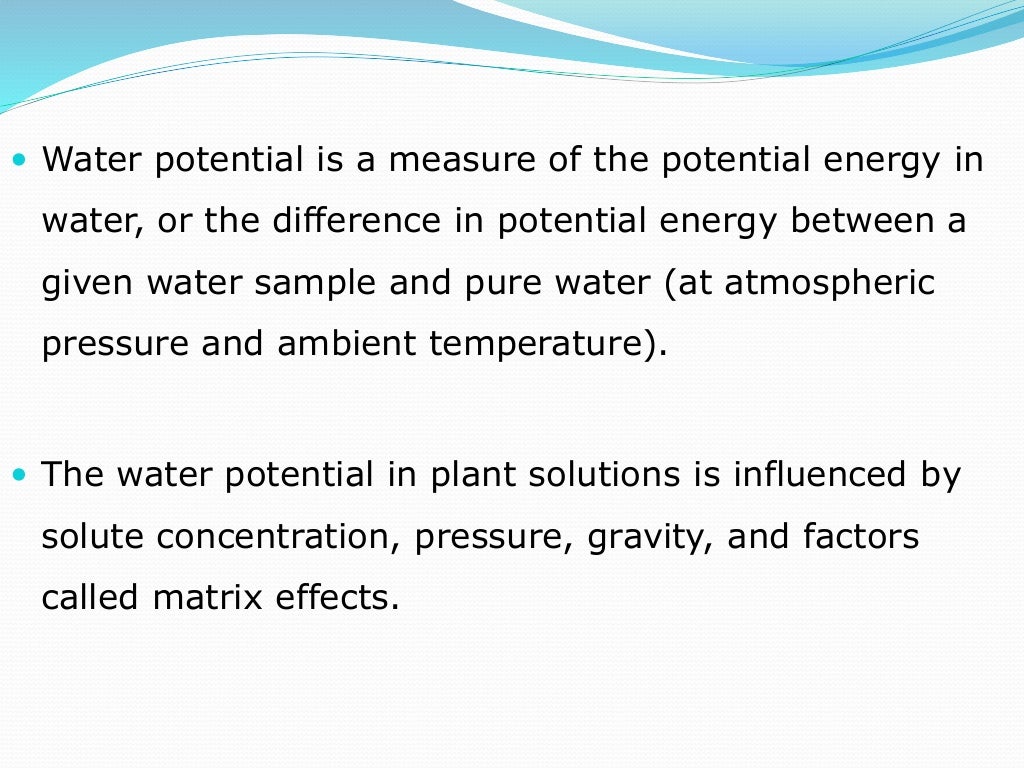Water potential