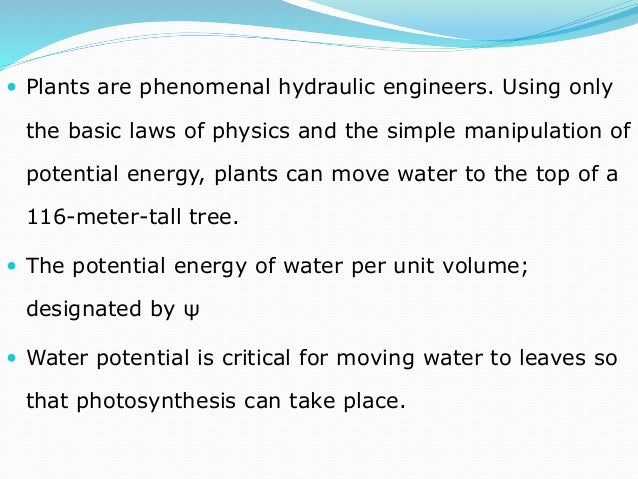 water potential water potential formula