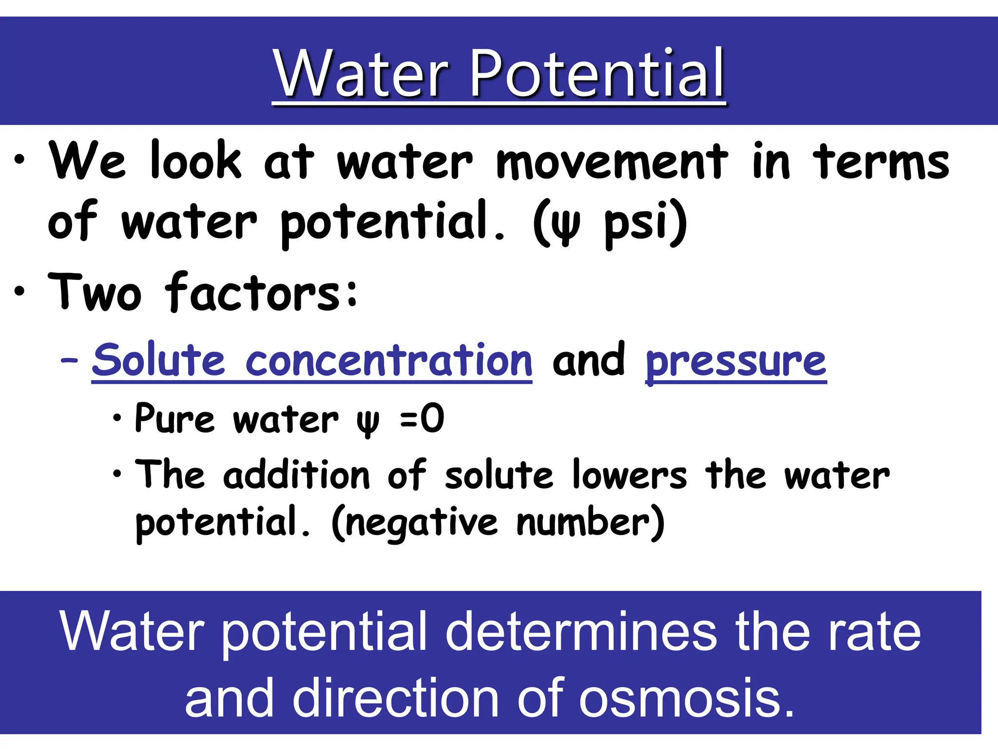 Water Potential
• We look at water movement in terms
of water potential. (ψ psi)
• Two factors:
– Solute concentration and pressure
• Pure water ψ =0
• The addition of solute lowers the water
potential. (negative number)
Water potential determines the rate
and direction of osmosis.
 