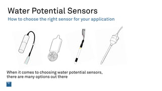 Water Potential 201: Getting the Most from Each Measurement | PDF