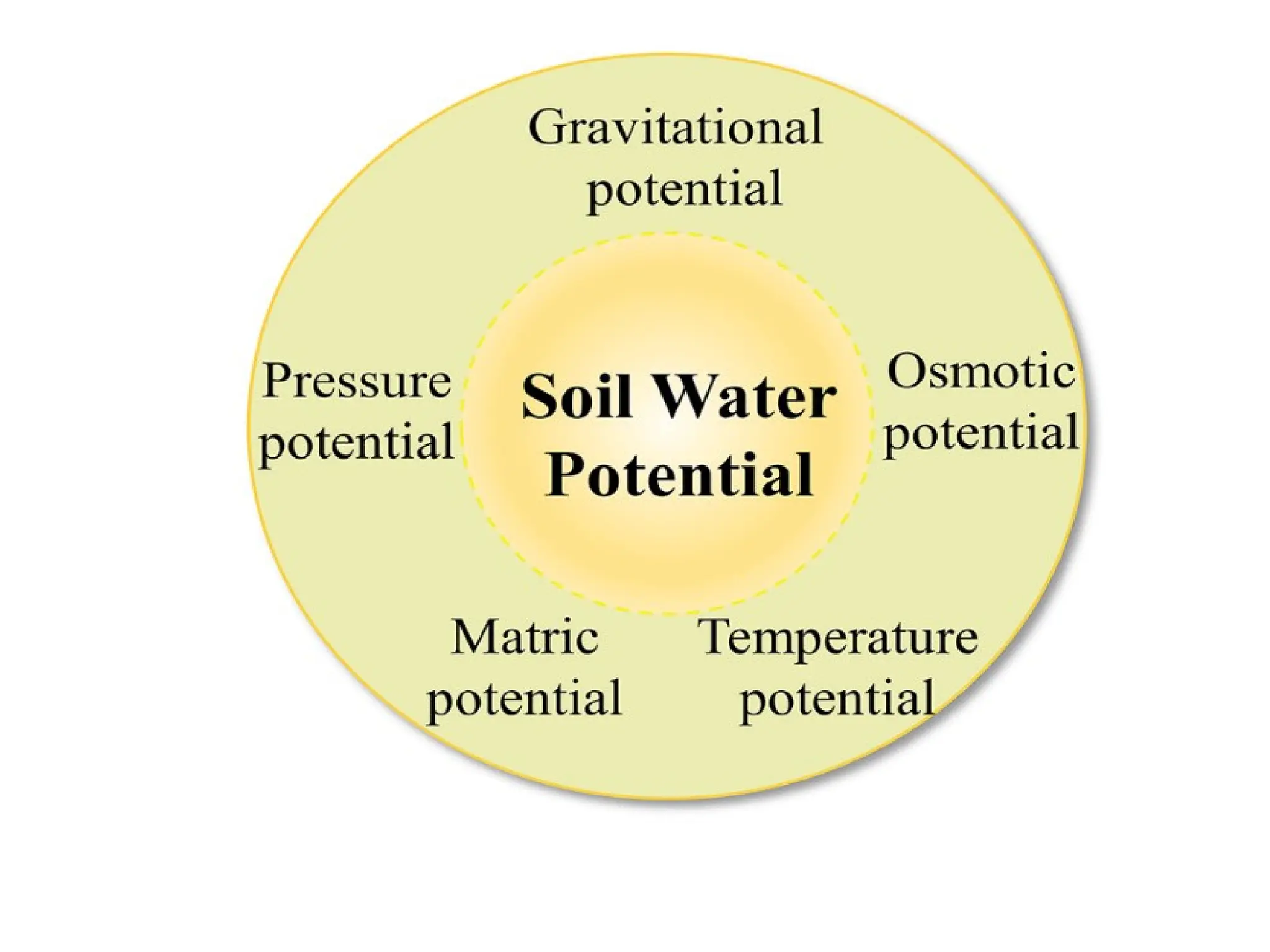 When such a cell is subjected to the movement
of water then many factors begin to operate
which ultimately determine the water potential
of cell sap
COMPONENTS
 