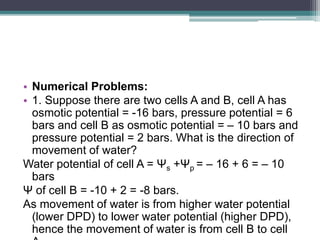 Water potential and its components | PPTX
