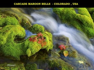 CASCADE MAROON BELLS - COLORADO , USA
 