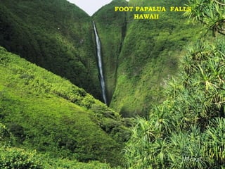 FOOT PAPALUA FALLS
    HAWAII
 