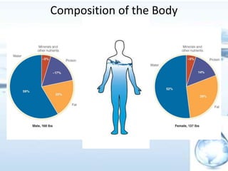 Composition of the Body
 