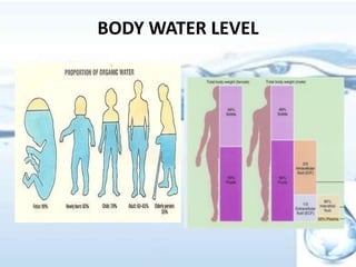 BODY WATER LEVEL
 