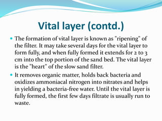Vital layer (contd.)
 The formation of vital layer is known as "ripening" of
the filter. It may take several days for the vital layer to
form fully, and when fully formed it extends for 2 to 3
cm into the top portion of the sand bed. The vital layer
is the "heart" of the slow sand filter.
 It removes organic matter, holds back bacteria and
oxidizes ammoniacal nitrogen into nitrates and helps
in yielding a bacteria-free water. Until the vital layer is
fully formed, the first few days filtrate is usually run to
waste.
 