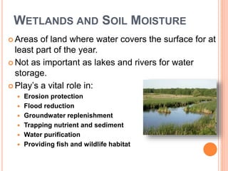 WETLANDS AND SOIL MOISTURE
 Areas of land where water covers the surface for at
least part of the year.
 Not as important as lakes and rivers for water
storage.
 Play’s a vital role in:
 Erosion protection
 Flood reduction
 Groundwater replenishment
 Trapping nutrient and sediment
 Water purification
 Providing fish and wildlife habitat
 