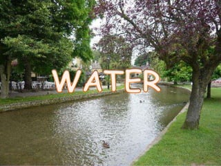 WATER 